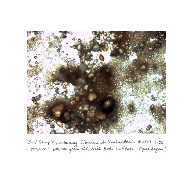 The Oldest Living Things in the World by Sussman. A travel of art through time.