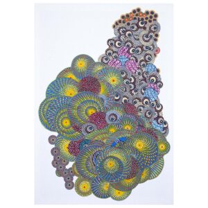 Cytoplasmic Division 2. 2017 by Asuka Nirasawa