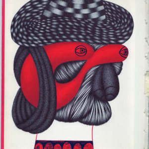 Steed. 2016 by C.J. Pyle