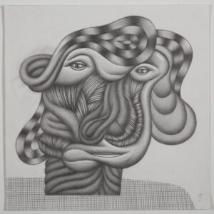 Pencil study for McKinley’s delight. 2016 by C.J. Pyle